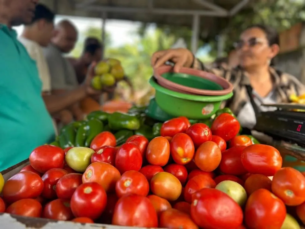 Feira Municipal ganha novo espaço e deve impulsionar comércio local