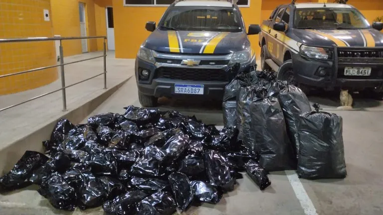 PRF apreende mais de 100 kg de maconha em Simões Filho 