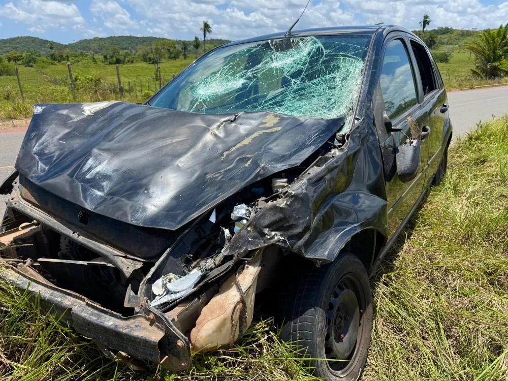 Carro colide com búfalo na Zona Rural de Mata de São João