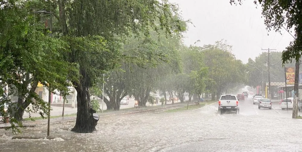 Bahia dispara alerta de chuva pelo WhatsApp; 344 municípios estão em risco