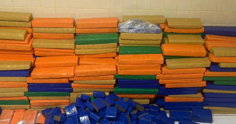 PM apreende cerca de uma tonelada de maconha