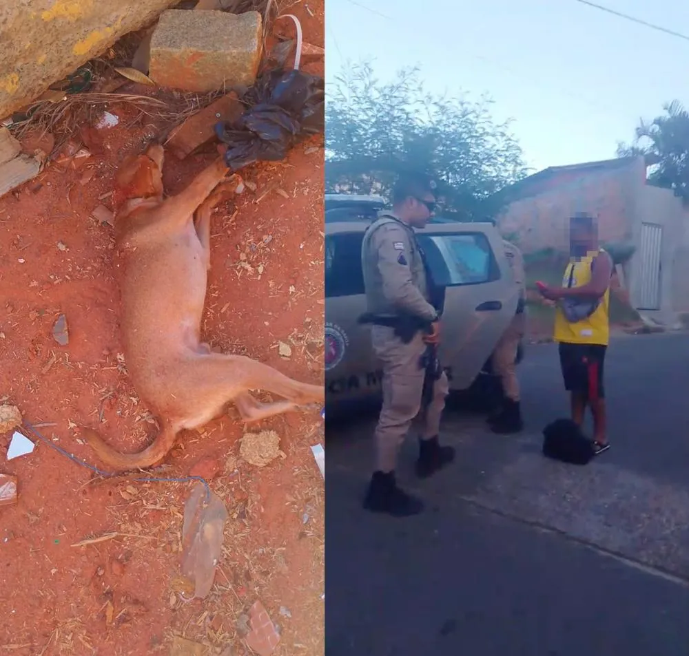 Homem é preso após espancar cachorro em residencial no litoral de Mata de São João
