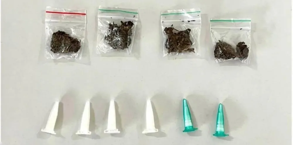 Adolescente é apreendido por tráfico de drogas durante ação da PM no bairro do Bosque