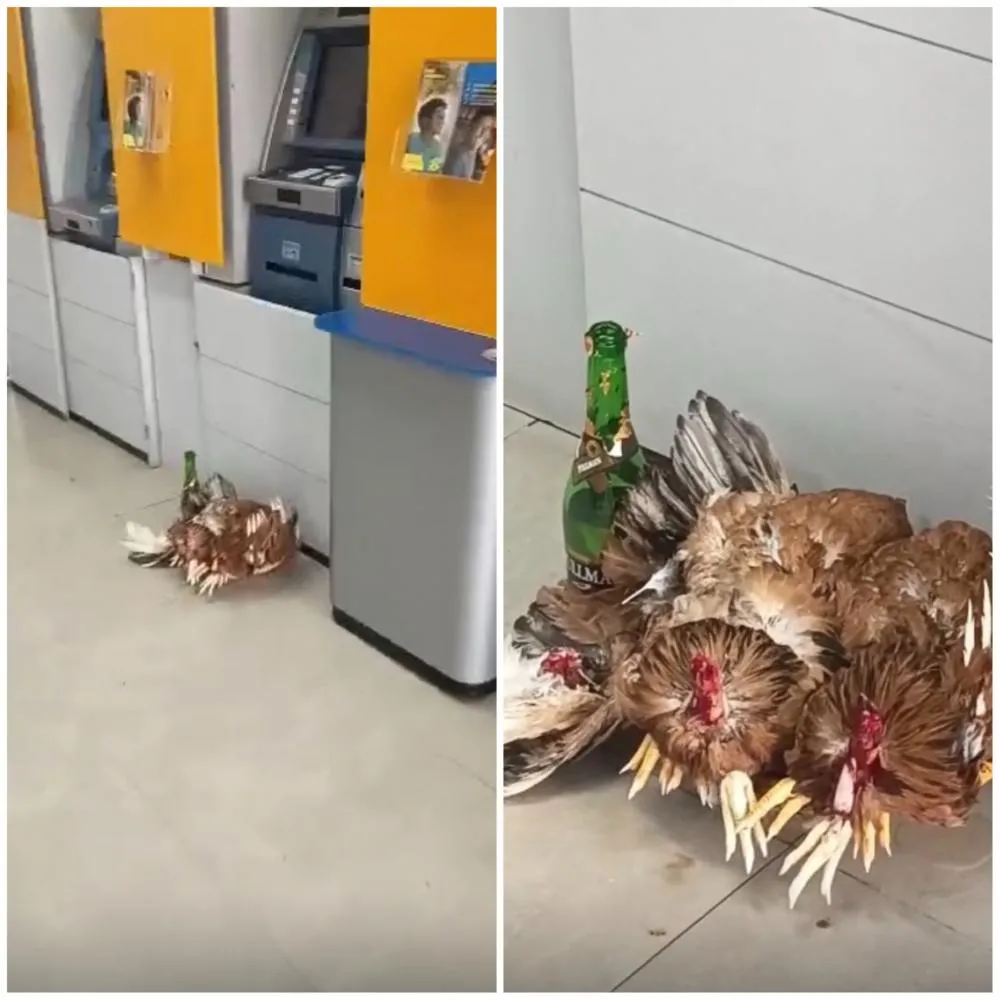 Despacho é deixado dentro de agência do Banco do Brasil em Mata de São João