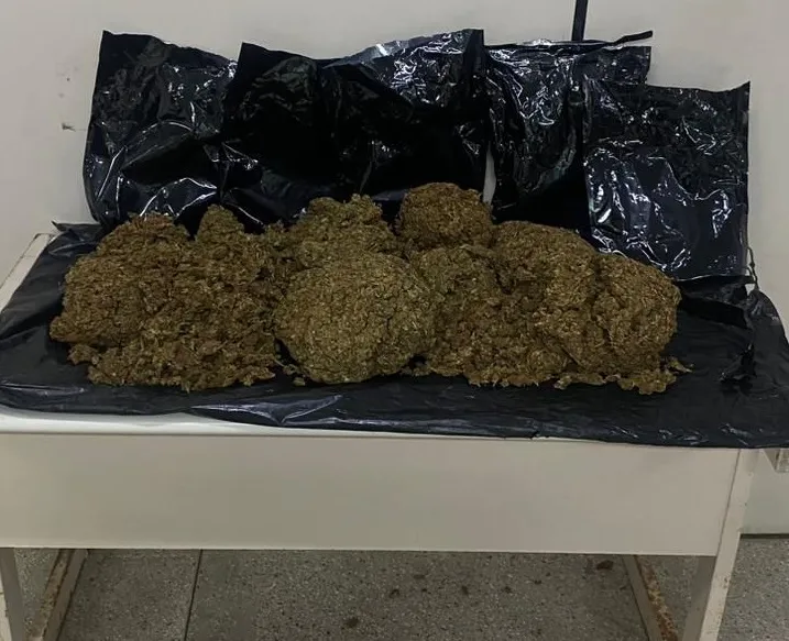Polícia apreende vasta quantidade de maconha durante operação no bairro de Tancredo Neves