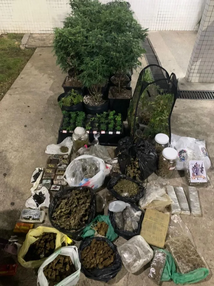 PM descobre estufas de drogas em Pituaçu