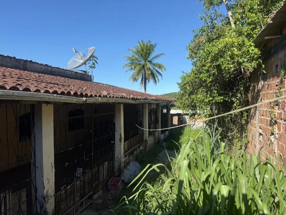 Moradores denunciam suposto canil clandestino e maus-tratos a animais no Bom Jesus, em Mata de São João