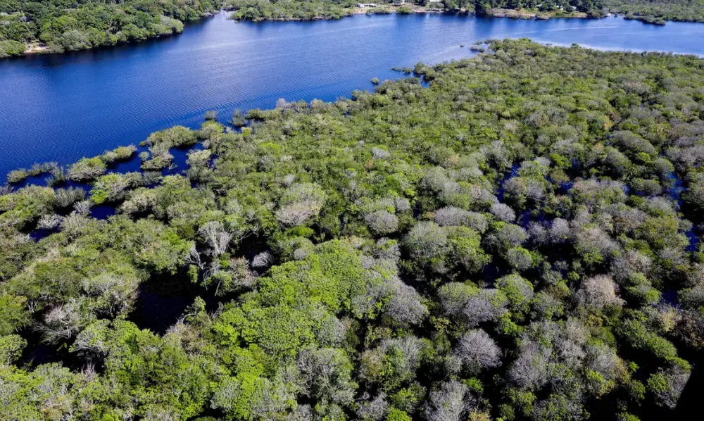 STF proíbe concessão de florestas em terras indígenas ou quilombolas