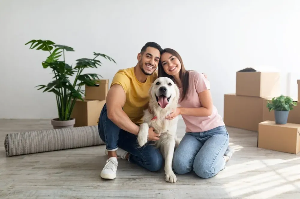 Senado aprova guarda compartilhada de pets em casos de separação