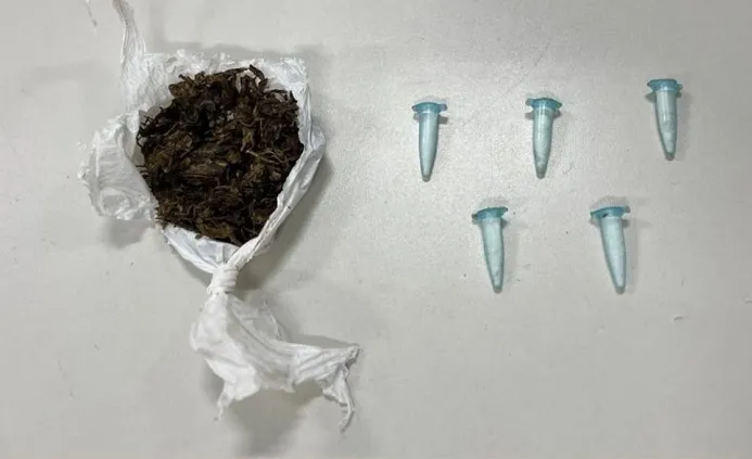 PM prende suspeito de tráfico no bairro Parque Petrópolis, em Dias d’Ávila