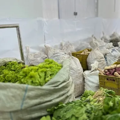 Prefeitura entrega 7,5 toneladas de alimentos e beneficia mais de 230 famílias