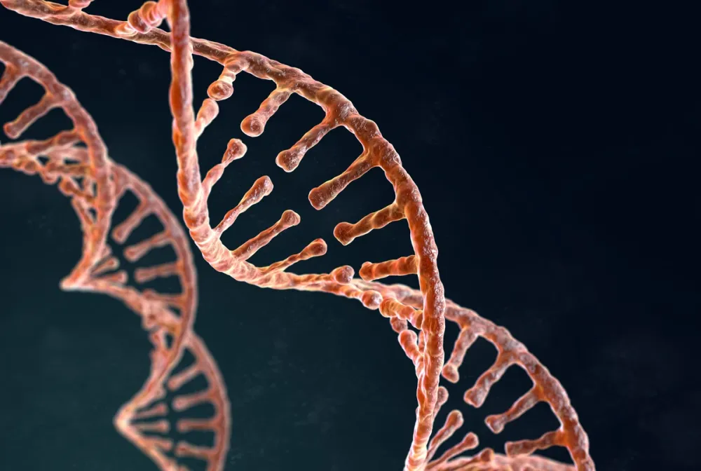 SUS passa a oferecer teste genético para identificar risco hereditário de câncer de mama