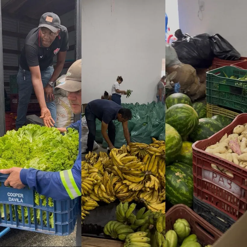 Dias d’Ávila realiza nova entrega de 7,5 toneladas de alimentos por meio do PAA