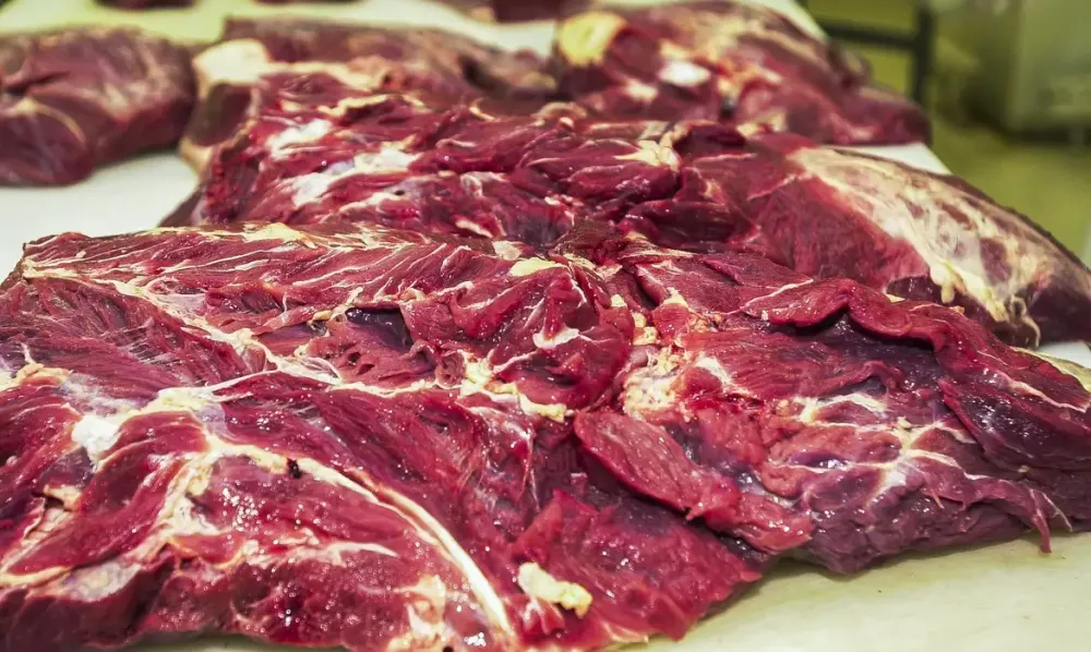 União Europeia oficializa veto à carne brasileira a partir de setembro