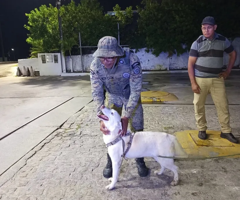 PM resgata cão em situação de risco em Barra do Jacuípe