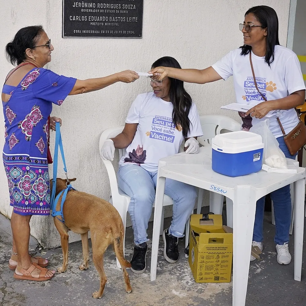 Pojuca inicia campanha de vacinação antirrábica para cães e gatos com ações na sede e zona rural