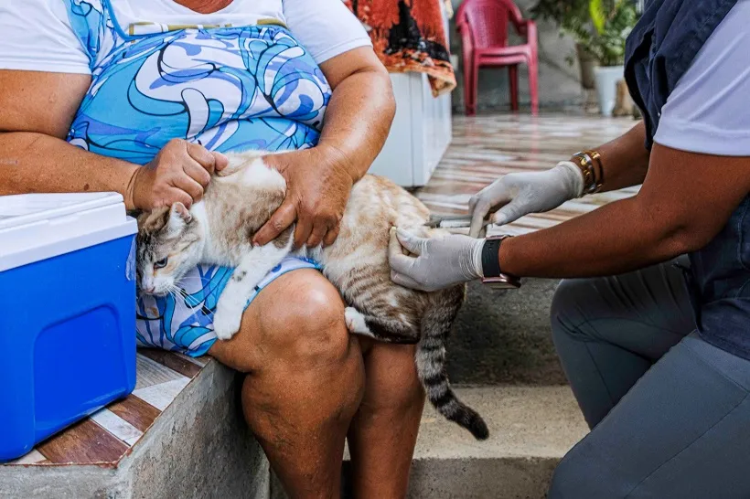 Mata de São João inicia campanha de vacinação antirrábica e prevê imunizar 12 mil cães e gatos