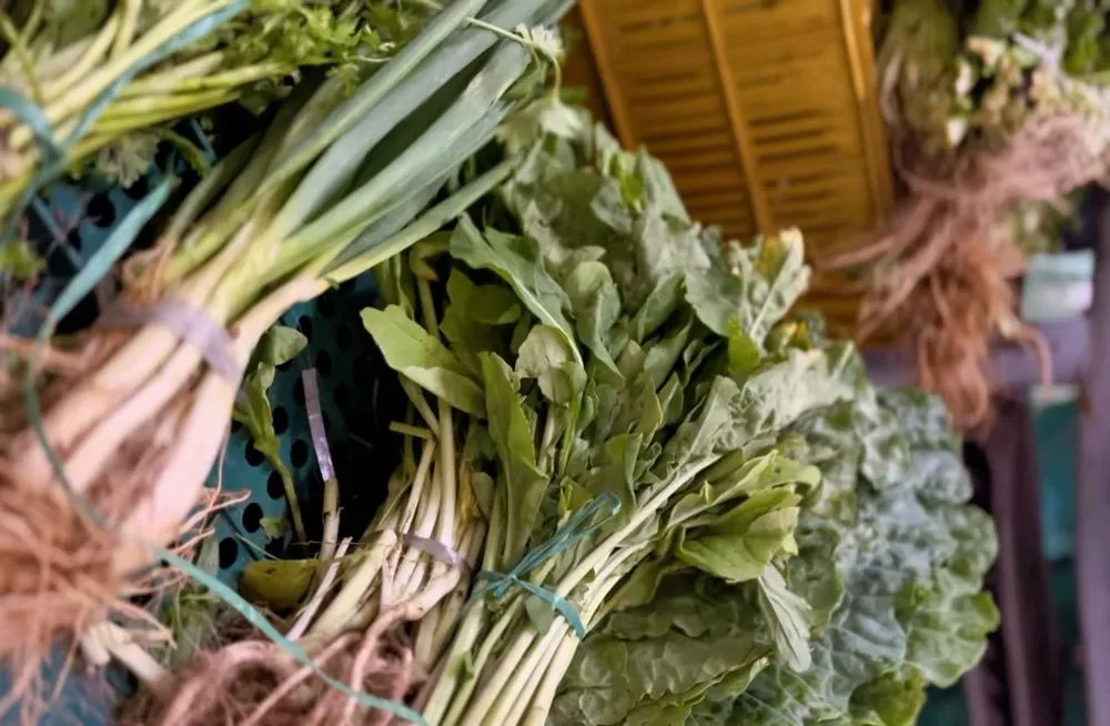 Dias d’Ávila abre inscrições para agricultores familiares no PAA 2026