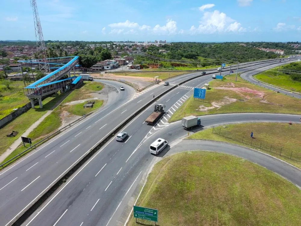 Atropelamentos causam metade das mortes nas rodovias da Bahia, aponta levantamento